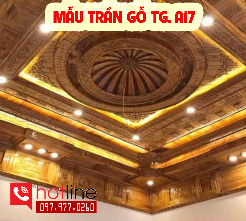 Trần gỗ tự nhiên - Công Ty TNHH Xây Dựng Nhà Đẹp T&T