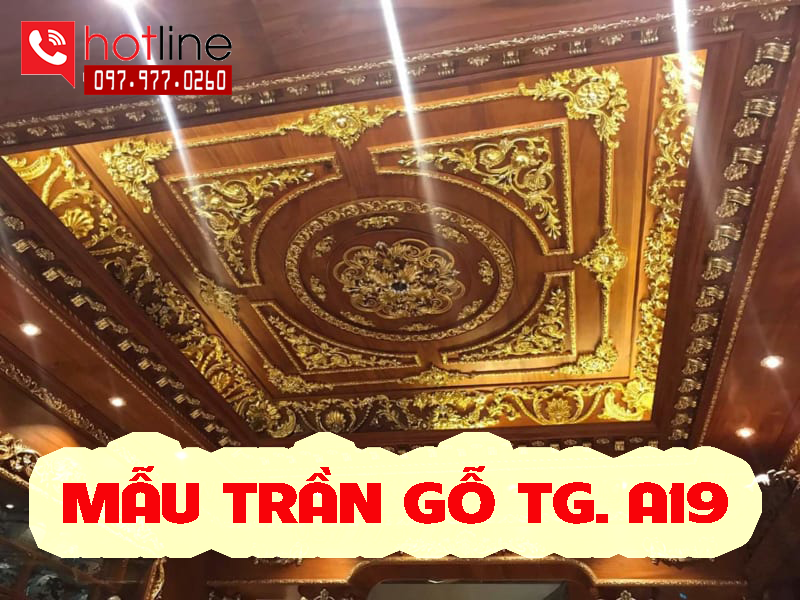 Trần gỗ tự nhiên - Công Ty TNHH Xây Dựng Nhà Đẹp T&T