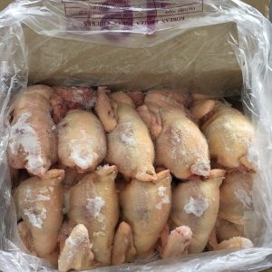 Thực Phẩm Đông Lạnh An Thịnh – Công Ty TNHH XNK Và Thương Mại An Thịnh