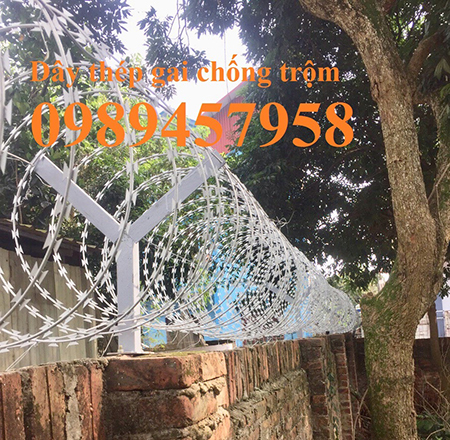 Dây thép gai bùng nhùng - Lưới Thép Trần Vũ Nguyên - Công Ty TNHH Sản Xuất Và Kinh Doanh Trần Vũ Nguyên