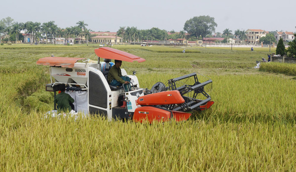 Dự án cải tạo đất ngành nông lâm nghiệp