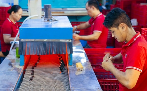 Làm gót giày - Thiên Hương Shoes - Công Ty Cổ Phần Đầu Tư Quốc Tế Thiên Hương