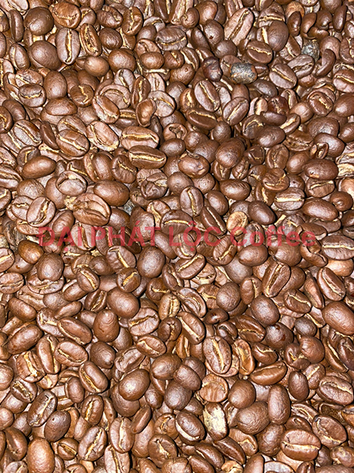 Cà phê hạt nguyên chất - Café Đại Phát Lộc - Công Ty TNHH Một Thành Viên Sản Xuất Thương Mại Café Đại Phát Lộc