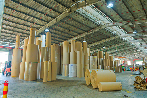 Hình ảnh công ty Green Packing