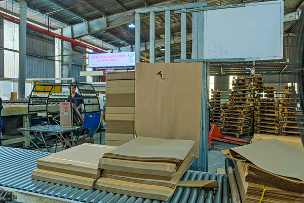 Hình ảnh công ty Green Packing