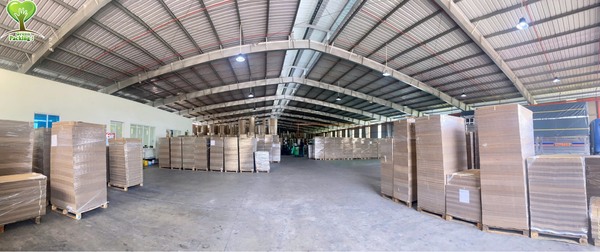 Hình ảnh công ty Green Packing