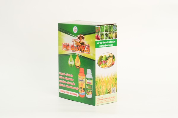 Hộp carton in offset