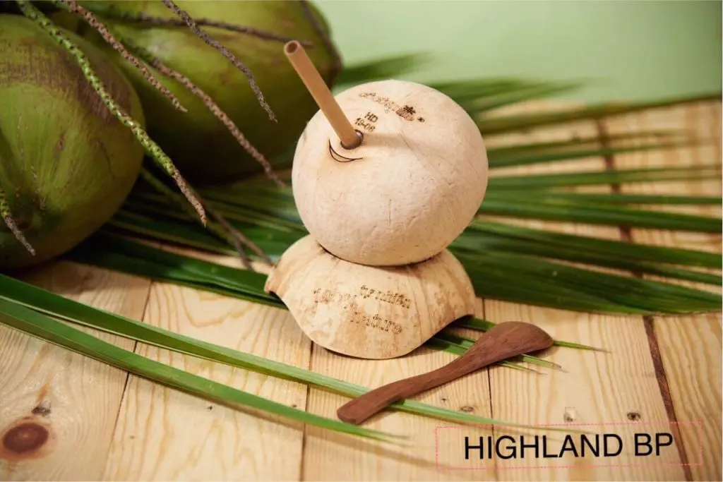 Dừa tươi - Công Ty TNHH Xuất Nhập Khẩu Cao Nguyên Bình Phước