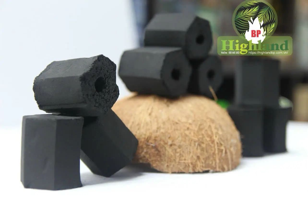 Than gáo dừa nướng BBQ - Công Ty TNHH Xuất Nhập Khẩu Cao Nguyên Bình Phước