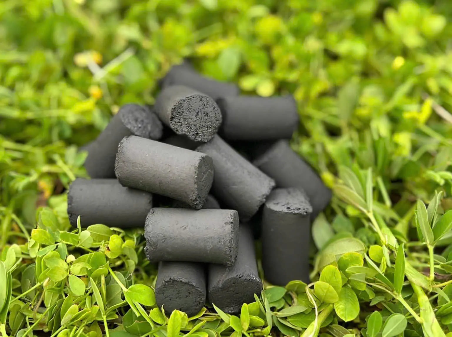 Than gáo dừa que - Công Ty TNHH Xuất Nhập Khẩu Cao Nguyên Bình Phước