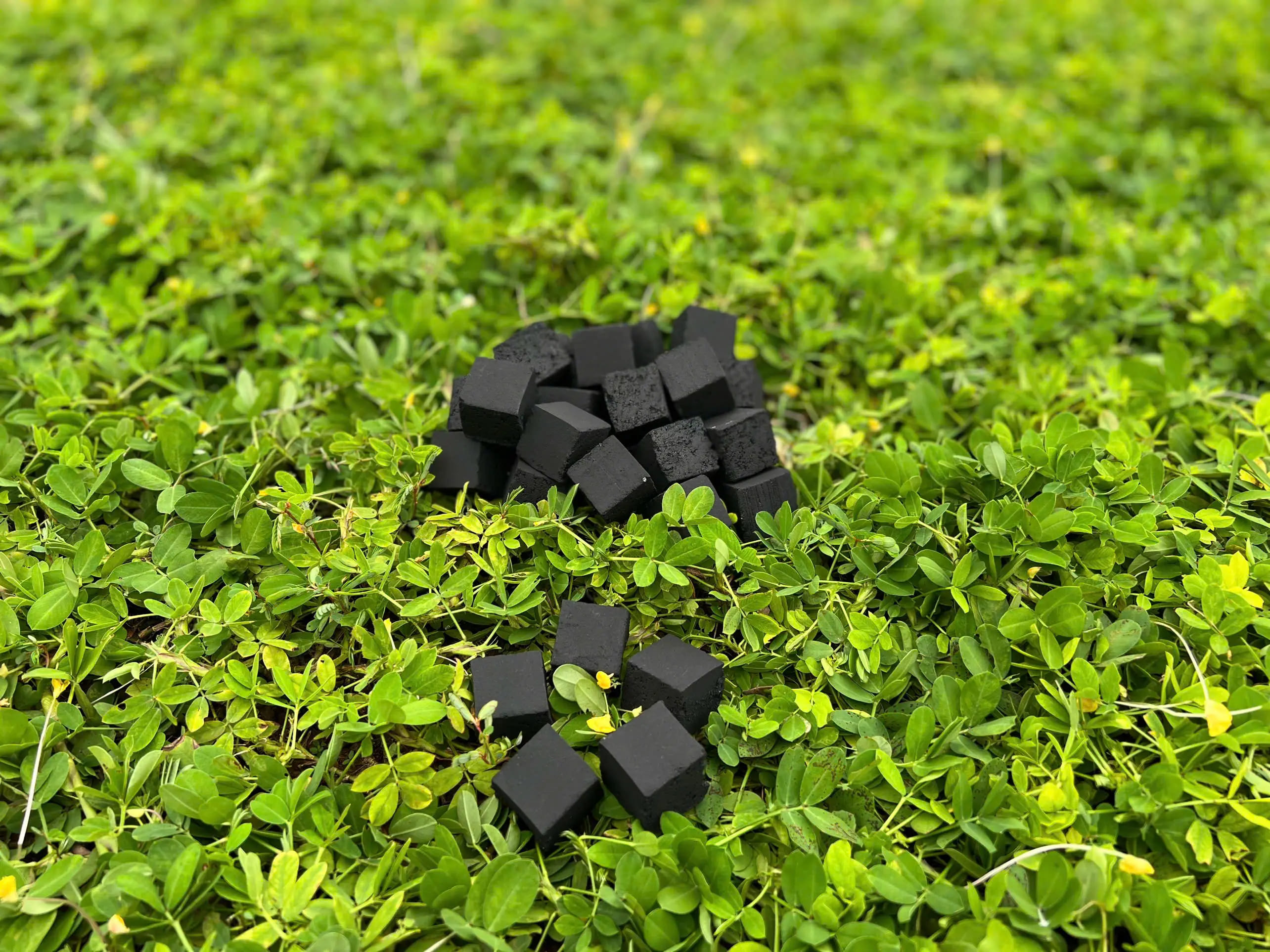 Than gáo dừa vuông - Công Ty TNHH Xuất Nhập Khẩu Cao Nguyên Bình Phước