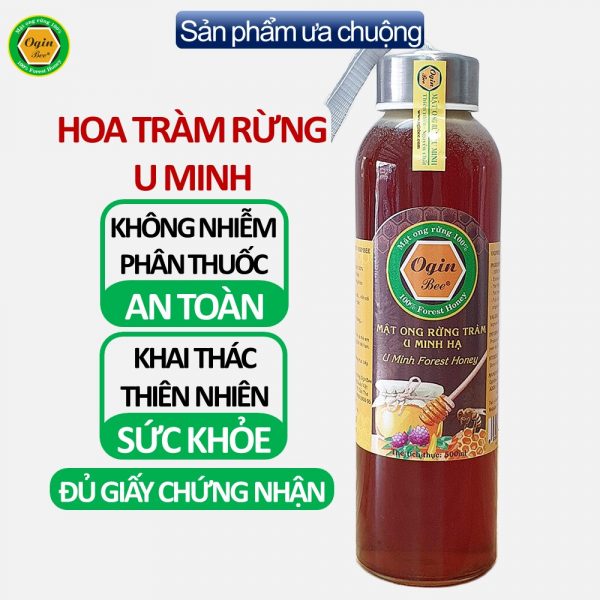 Mật ong rừng chàm U Minh nguyên chất 300ml - Mật Ong Rừng Oginbee - Công Ty TNHH TM DV Mật Ong Rừng Oginbee