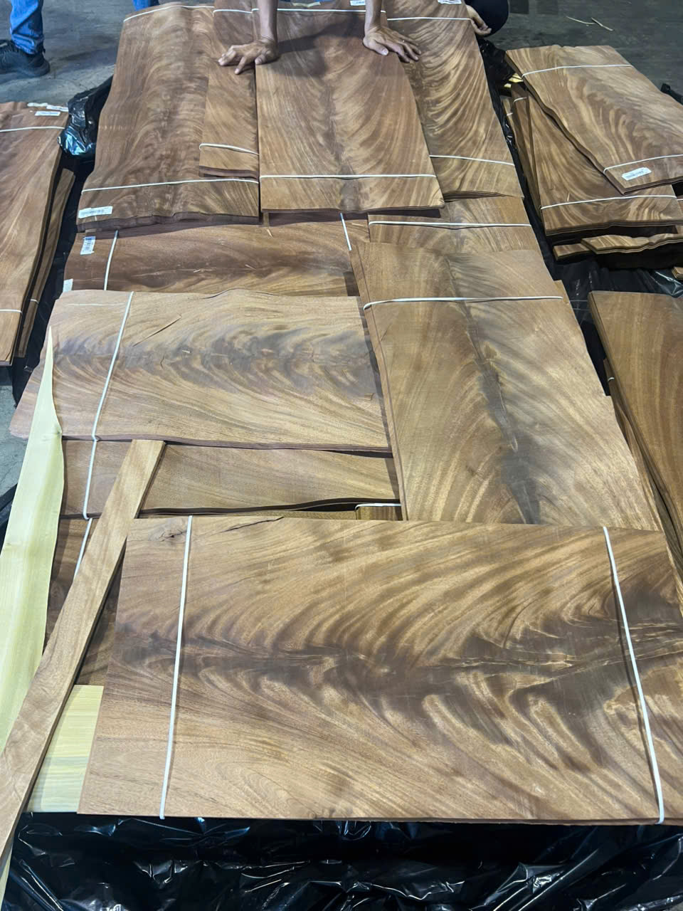 Ván gỗ óc chó crotch (Walnut Crotch) - Ván Gỗ Veneer Thụy Thái - Công Ty TNHH Thụy Thái