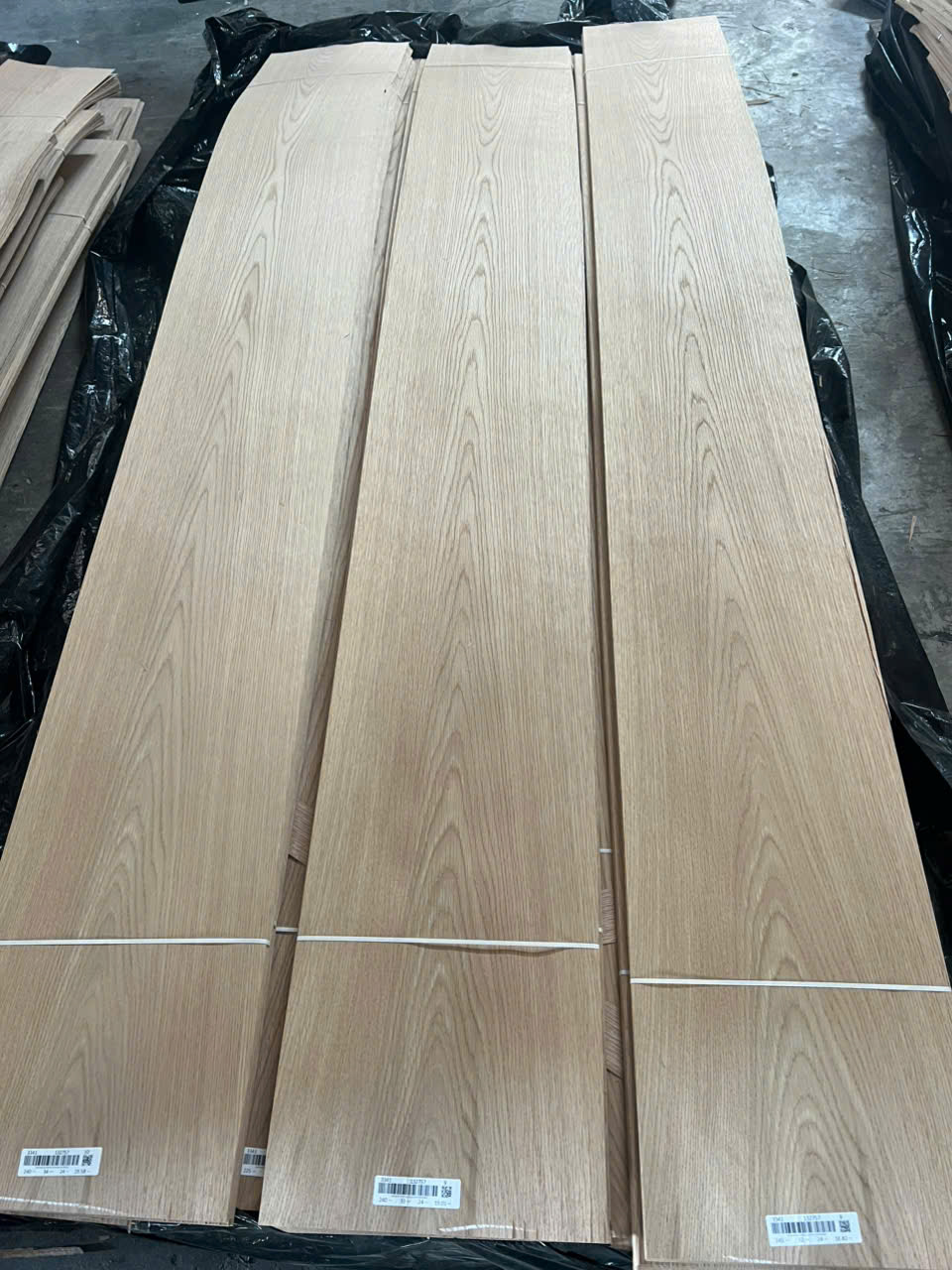 Ván gỗ sồi trắng (White Oak) - Ván Gỗ Veneer Thụy Thái - Công Ty TNHH Thụy Thái