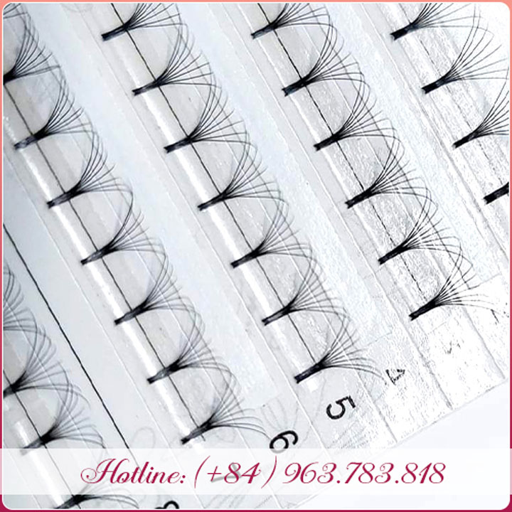 Lông mi Volume