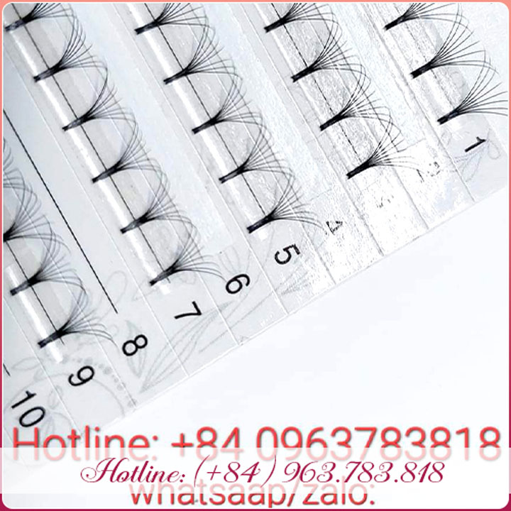 Lông mi Volume