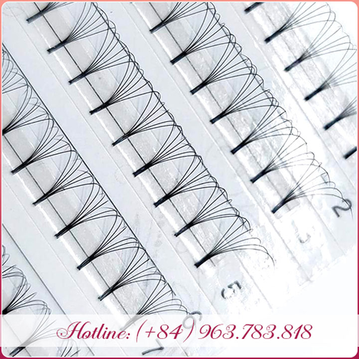 Lông mi Volume