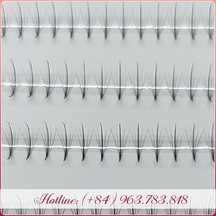 Lông mi wispy