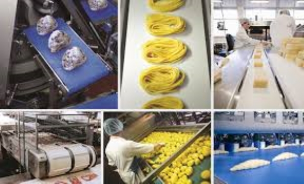 Băng tải thực phẩm - Băng Tải IKEDATECH - Công Ty TNHH IKEDATECH Việt Nam