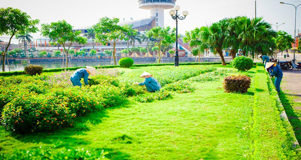 Dịch vụ cắt cỏ, chăm sóc cảnh quan - Môi Trường Tiến Phát - Công Ty TNHH Môi Trường Tiến Phát