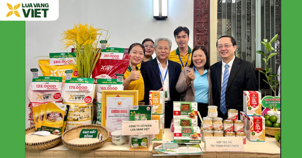 Công ty Lúa Vàng Việt