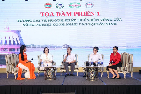 Công ty Lúa Vàng Việt