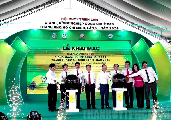 Công ty Lúa Vàng Việt
