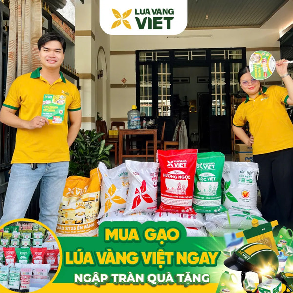 Đại lý gạo mới Lúa Vàng Việt