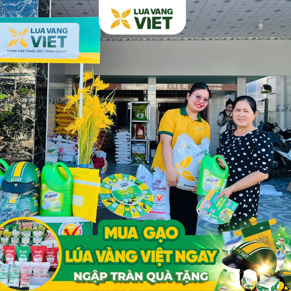 Đại lý gạo mới Lúa Vàng Việt