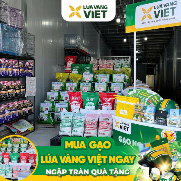Đại lý gạo mới Lúa Vàng Việt
