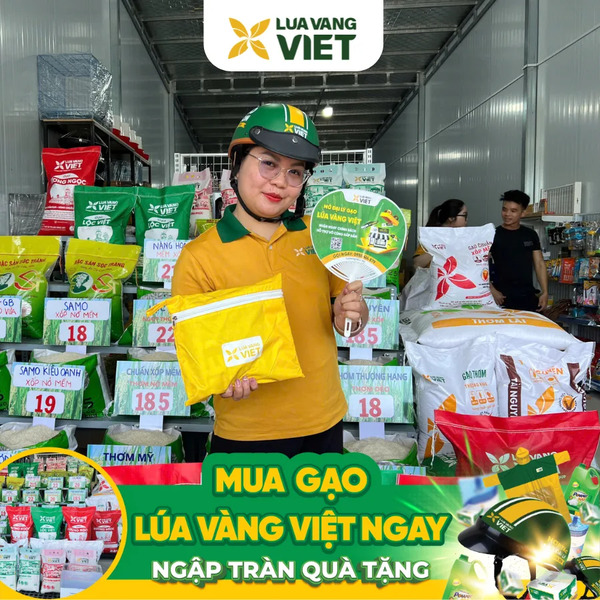 Đại lý gạo mới Lúa Vàng Việt