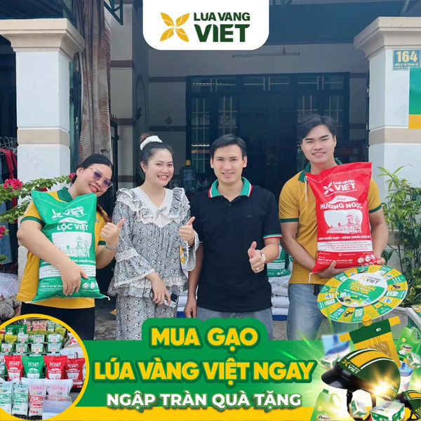 Đại lý gạo mới Lúa Vàng Việt
