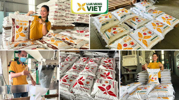 Nhà máy Lúa Vàng Việt