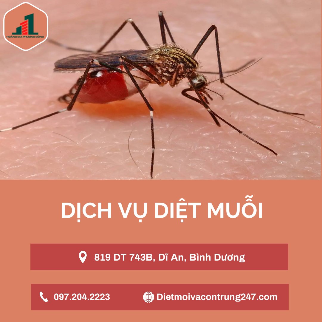 Dịch vụ diệt muỗi - Diệt Côn Trùng Phương Đông - Công Ty TNHH Thương Mại Và DV Hoàng Gia Phương Đông