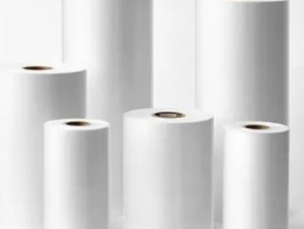 Hàng cuốn BOPP & PP - Bao Bì Nhựa Tân Thuận Tiến - Công Ty TNHH Sản Xuất Thương Mại Dịch Vụ Tân Thuận Tiến