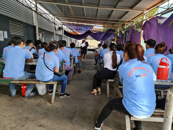 Đào tạo định hướng (an toàn và quy định)