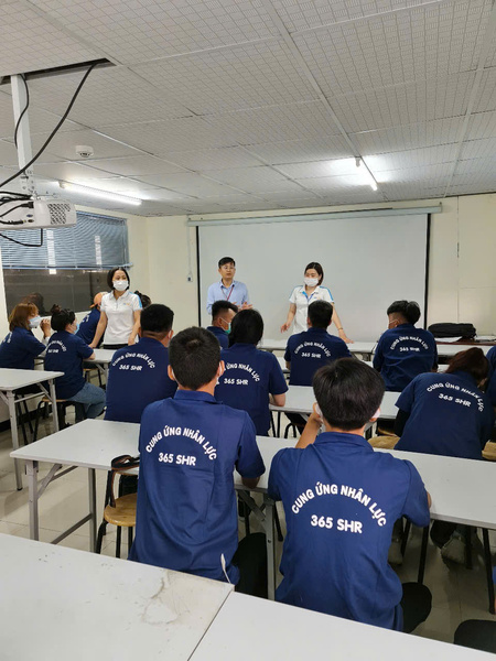Đào tạo định hướng (an toàn và quy định)