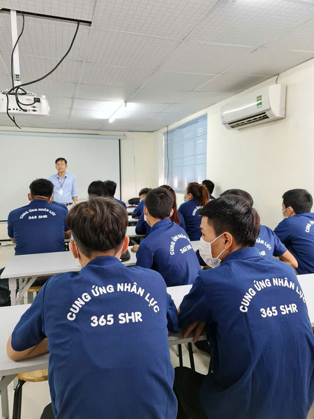 Đào tạo định hướng (an toàn và quy định)