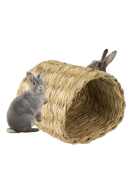 Giường ngủ cho thỏ bằng cỏ biển - Mẫu 02 - Mây Tre Đan Mỹ Nghệ Xanh - Công Ty Cổ Phần Xuất Nhập Khẩu Mỹ Nghệ Xanh