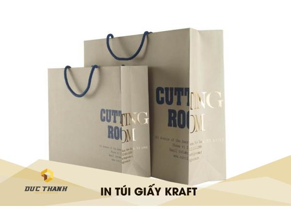 In túi giấy Kraft