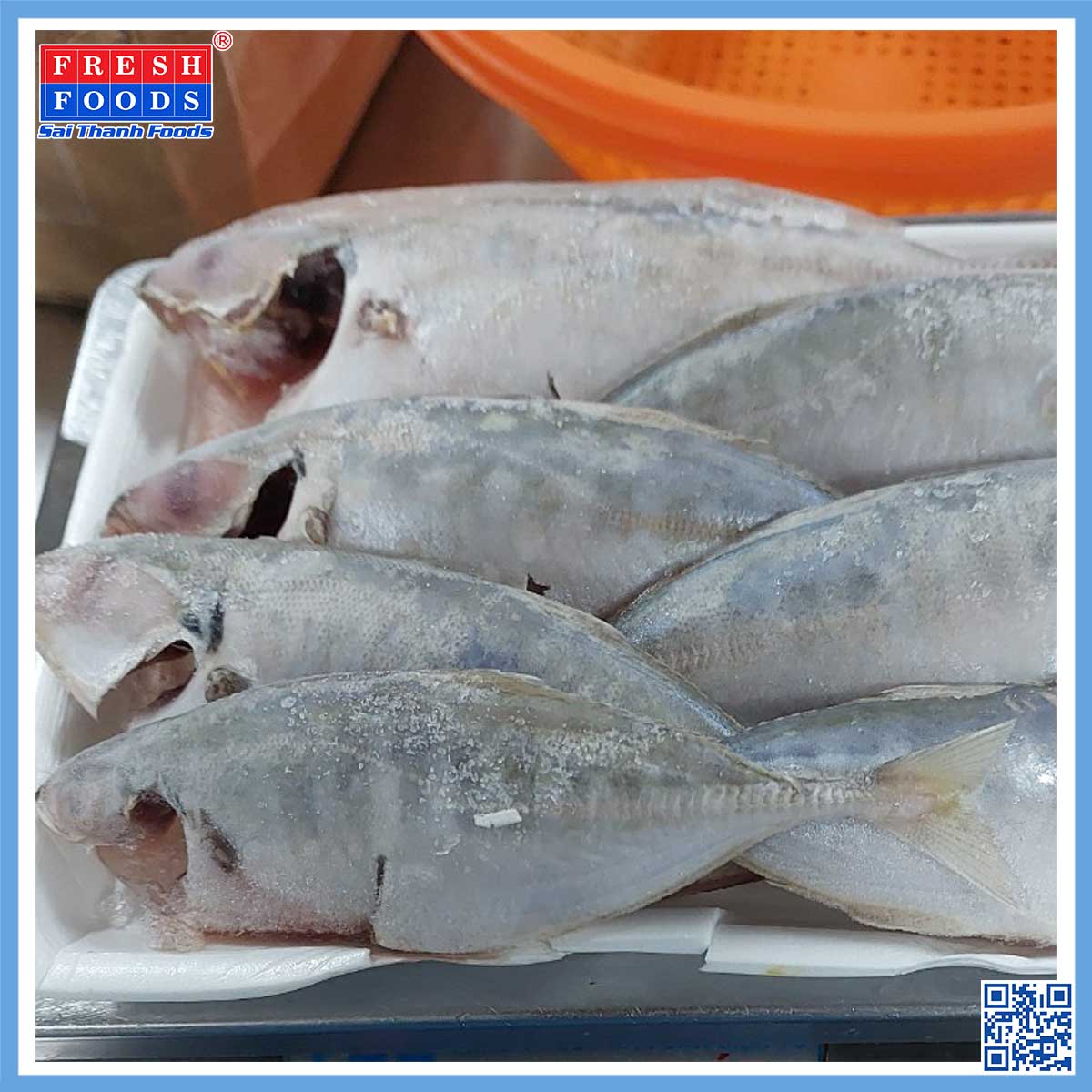 Cá ngân - Thủy Hải Sản Sài Thành Foods - Công Ty Cổ Phần Sài Thành Foods