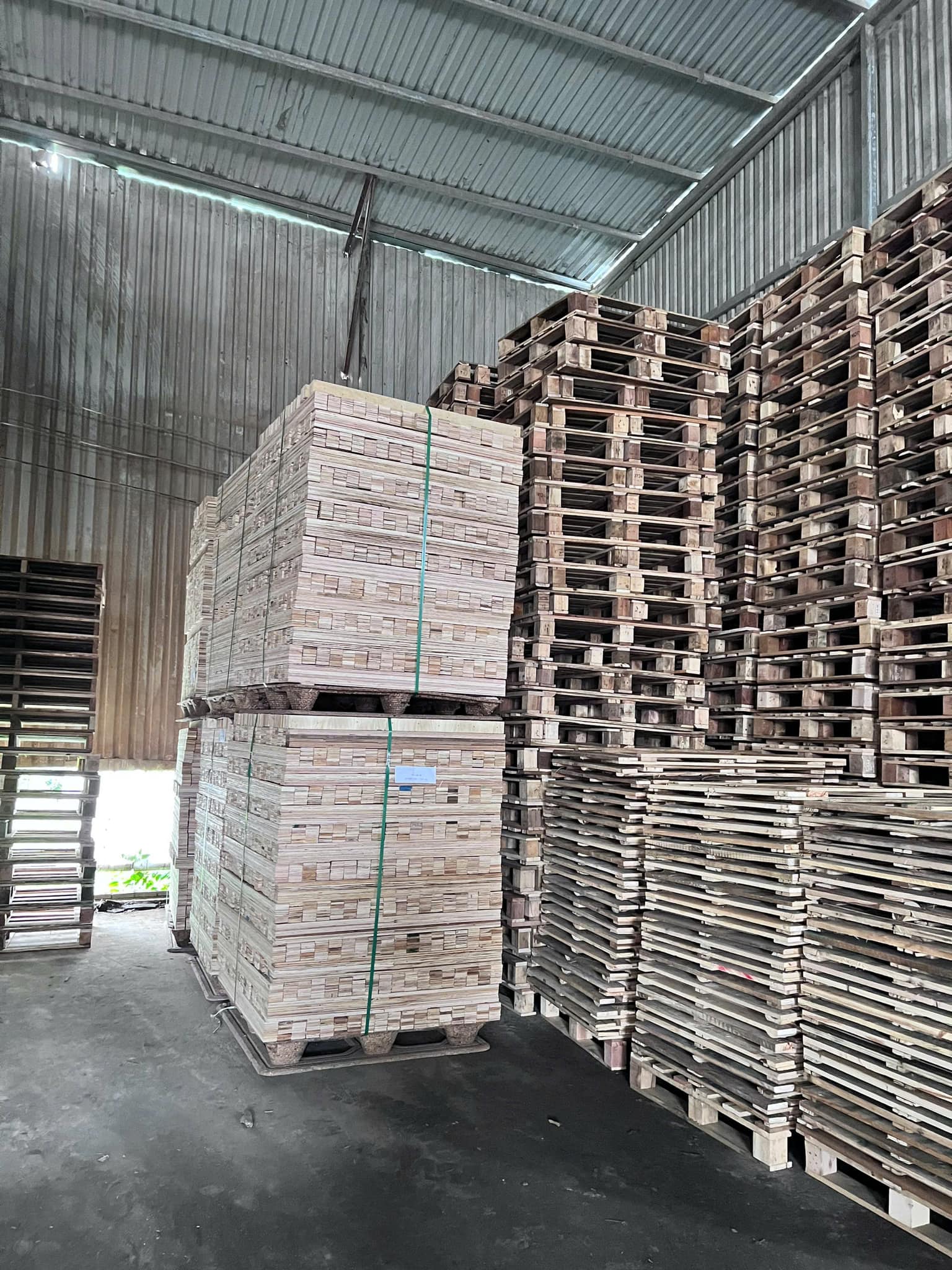 Pallet gỗ
