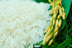 Gạo nàng thơm - Suất Ăn Công Nghiệp Cơm Kim Oanh - Công Ty TNHH Suất Ăn Công Nghiệp Cơm Kim Oanh