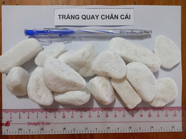 Sỏi trắng quay chân cái - Vật Liệu Lọc Nước Cát Thạch Anh - Công Ty TNHH Cát Thạch Anh