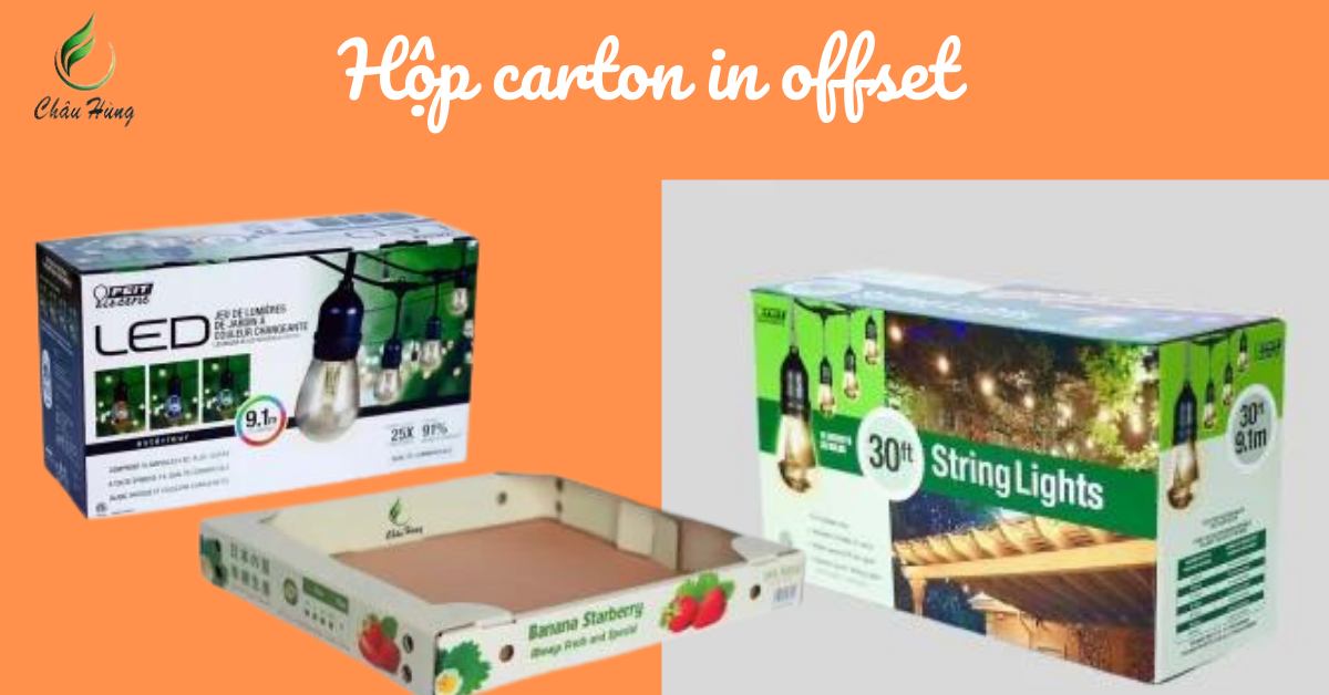 Hộp carton in offset