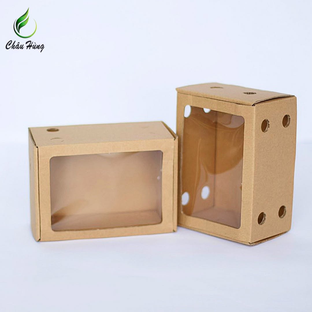 Hộp carton