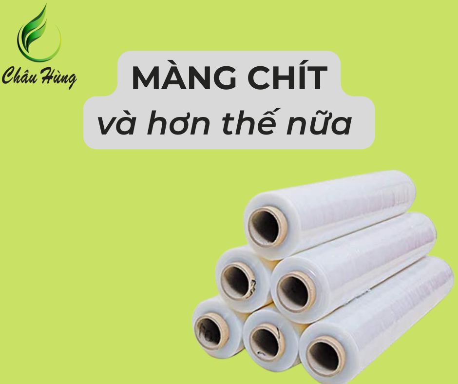 Màng chít