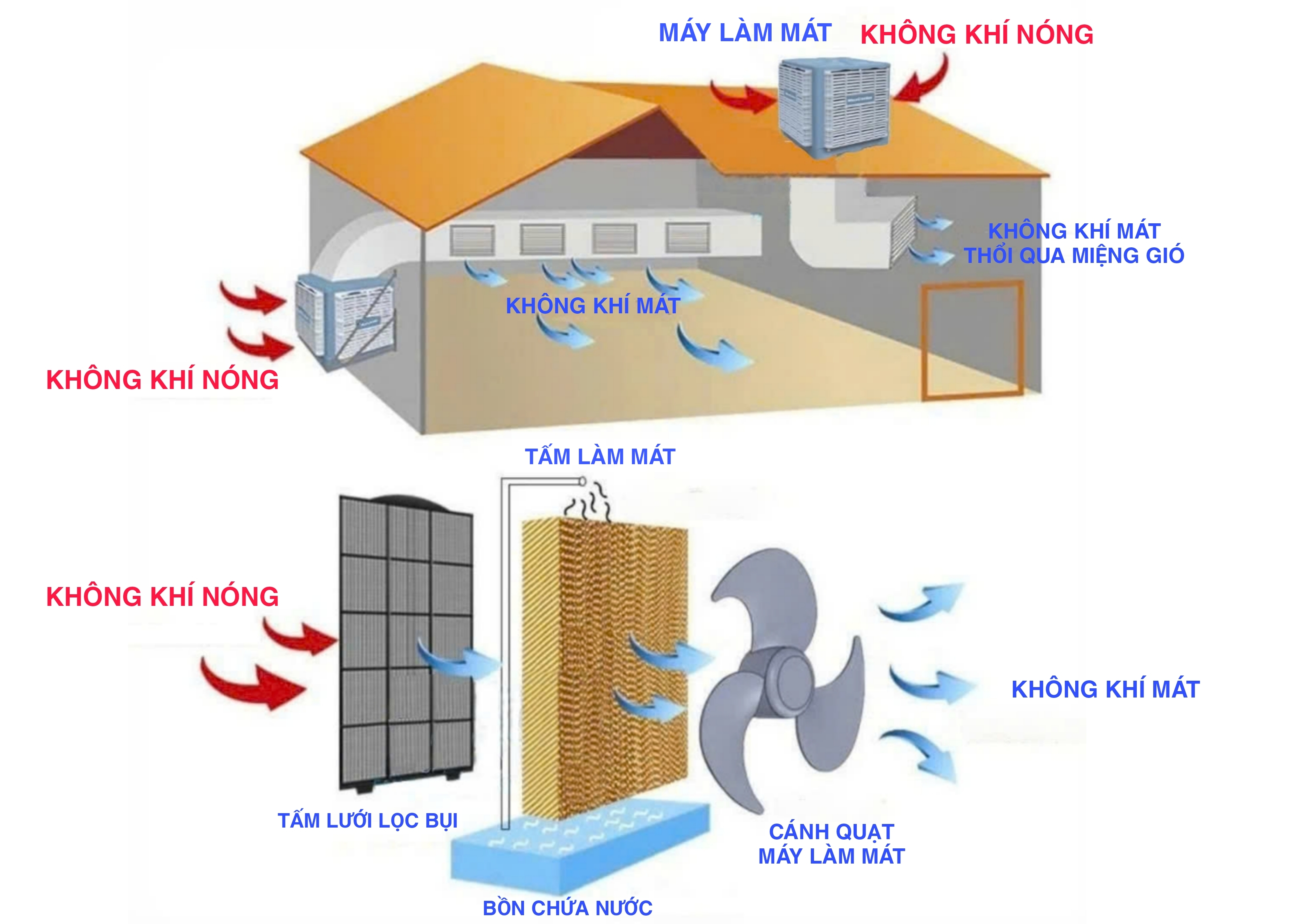 Mô hình 3D hệ thống làm mát