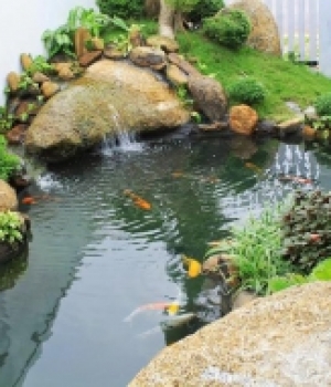 Hồ CaKoi sân vườn - Bể Bơi Vạn Hưng - Công Ty TNHH Thiết Bị Công Nghệ Vạn Hưng