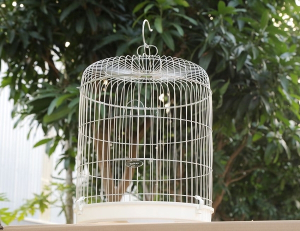 Lồng chim inox lắp ghép LC003